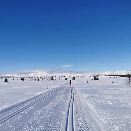 Bjornebo, Family *