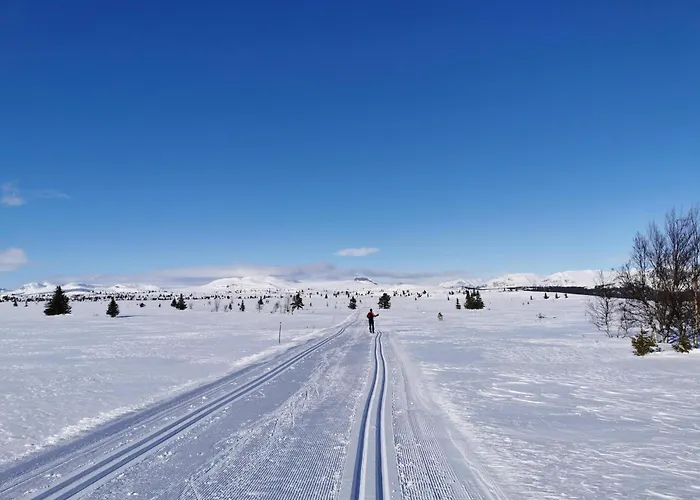 Bjornebo, Family *